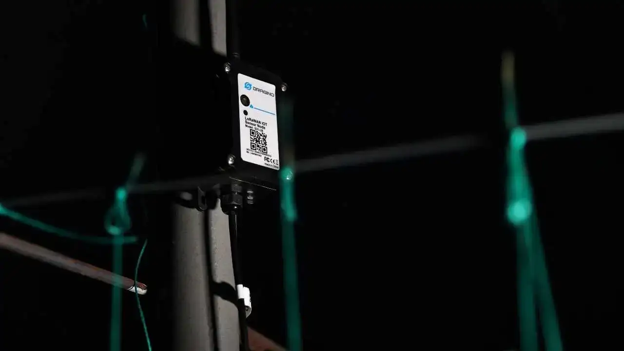 Antalya’da Don Nöbeti Tarihe Karışıyor 2